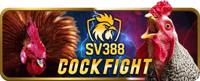 Hỗ trợ khách hàng chuyên nghiệp của 888bet app